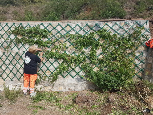 il pollice verde di Lida